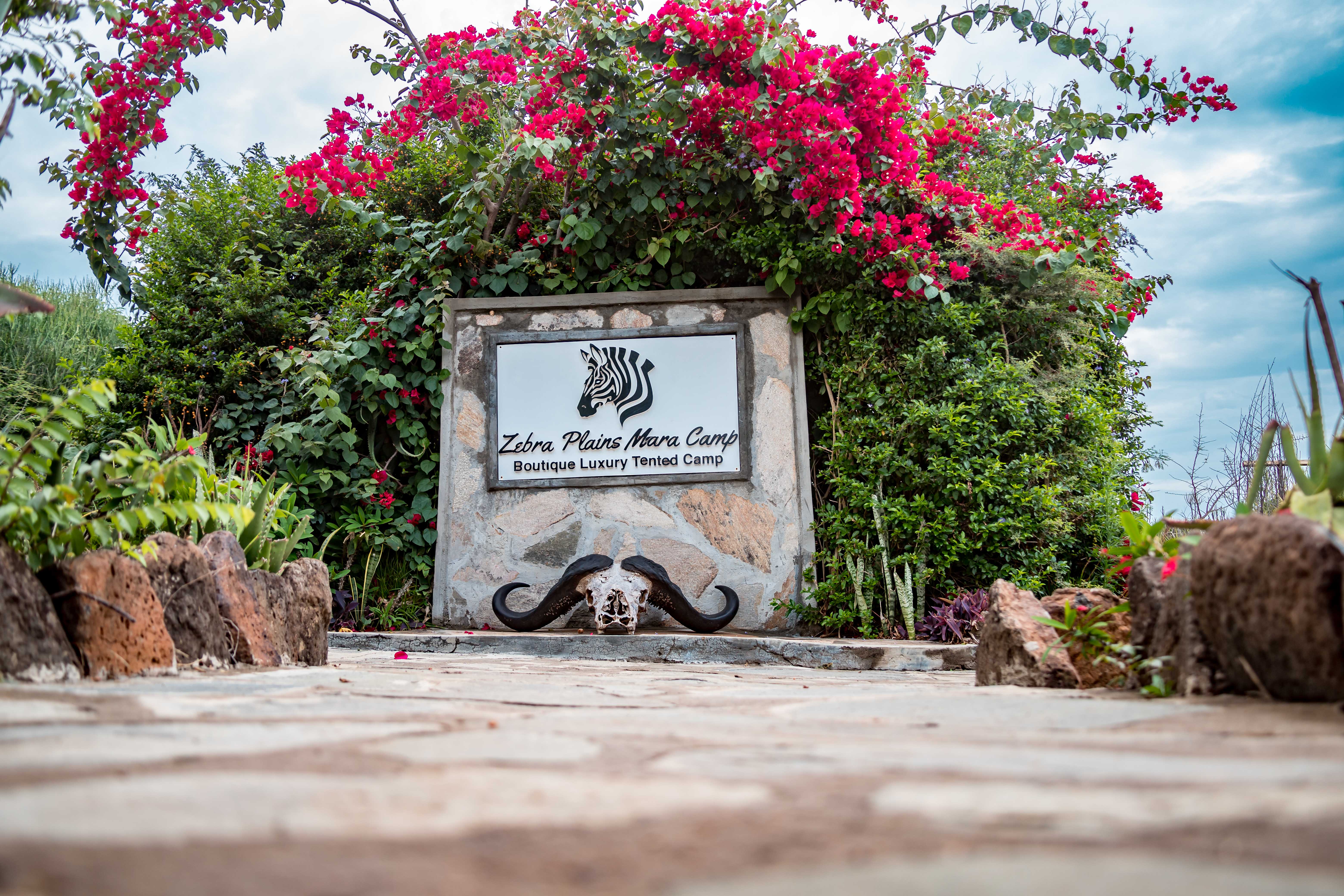 ZEBRA PLAINS MARA CAMP