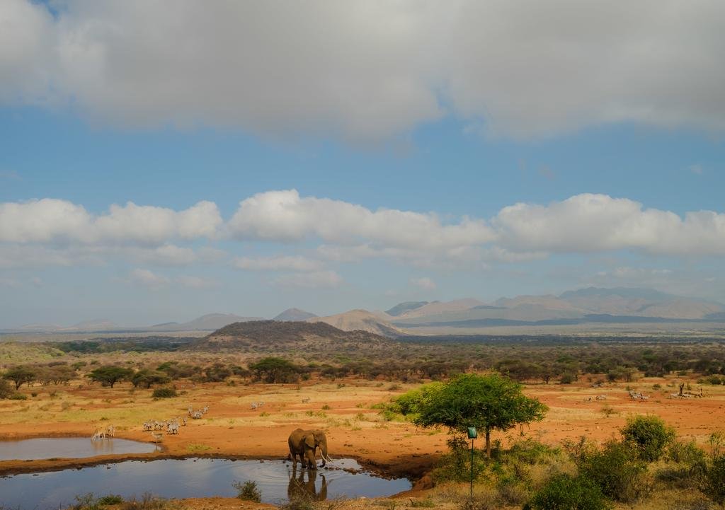 KILAGUNI SERENA SAFARI LODGE