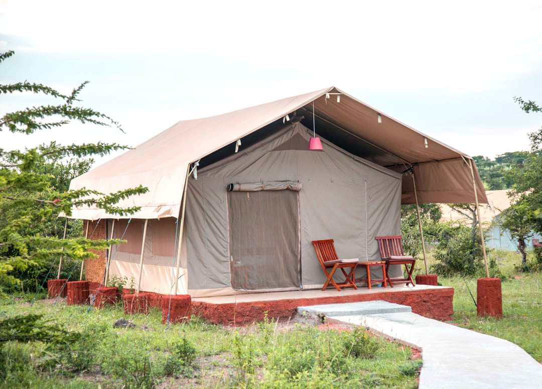 ENKOROK MARA CAMP LTD