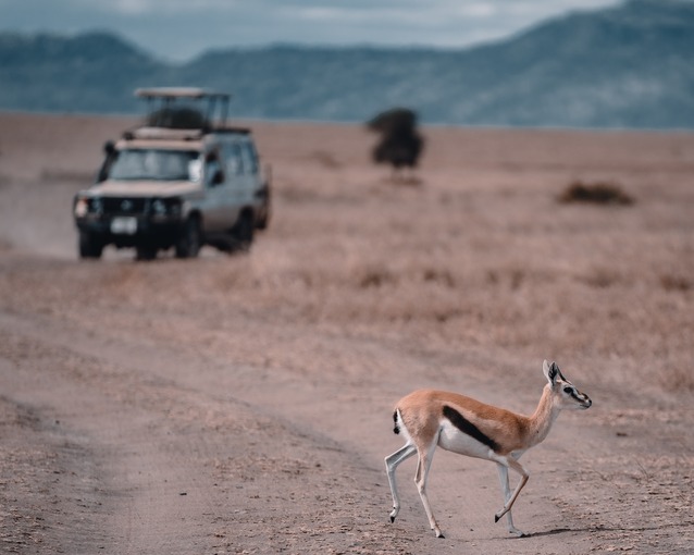 Game drives