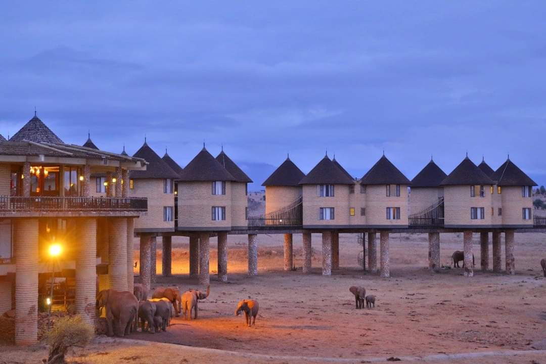 Salt lick Lodges