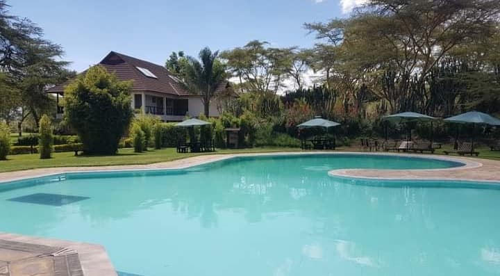 View of swimming pool in Sawela Lodges