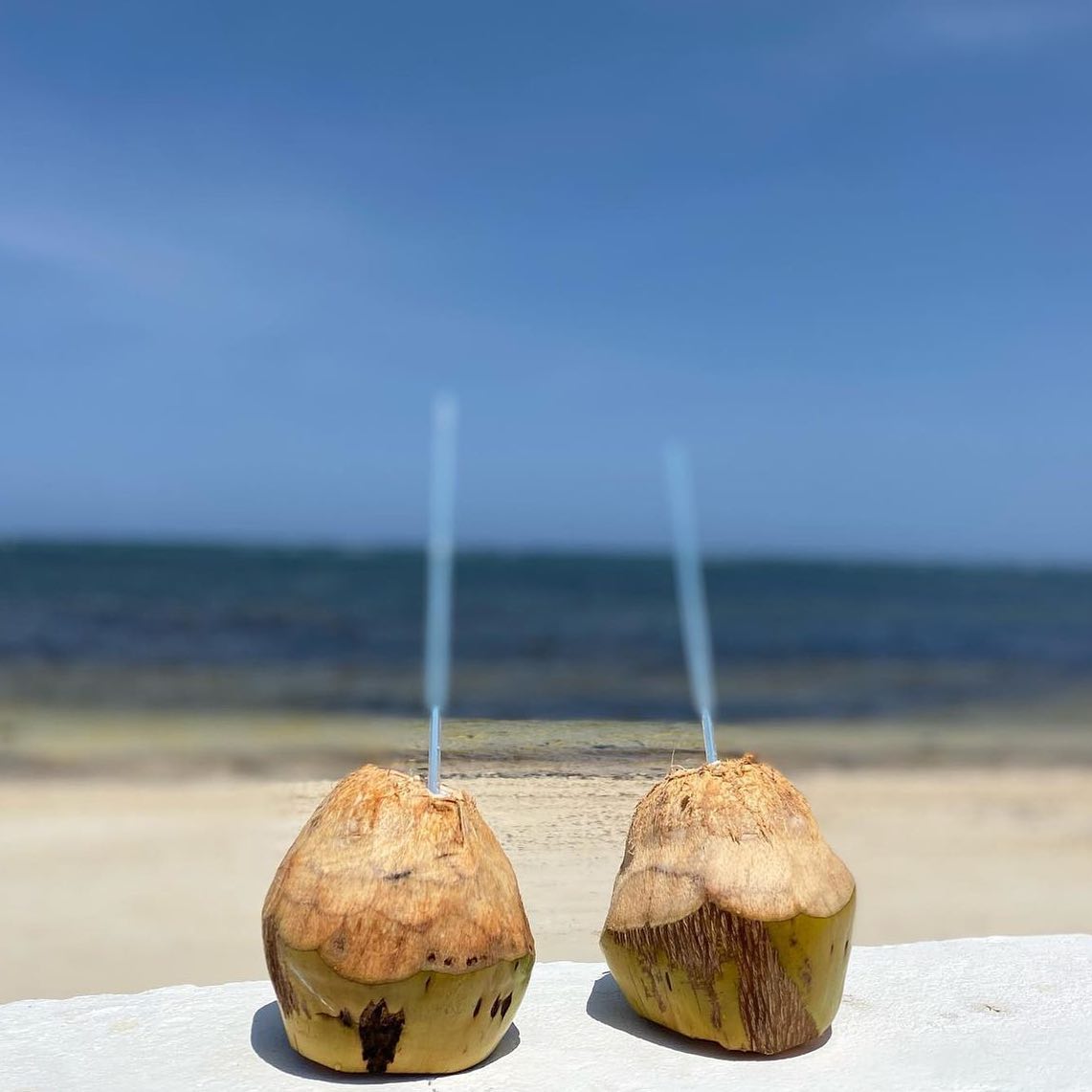 Sip in Madafu