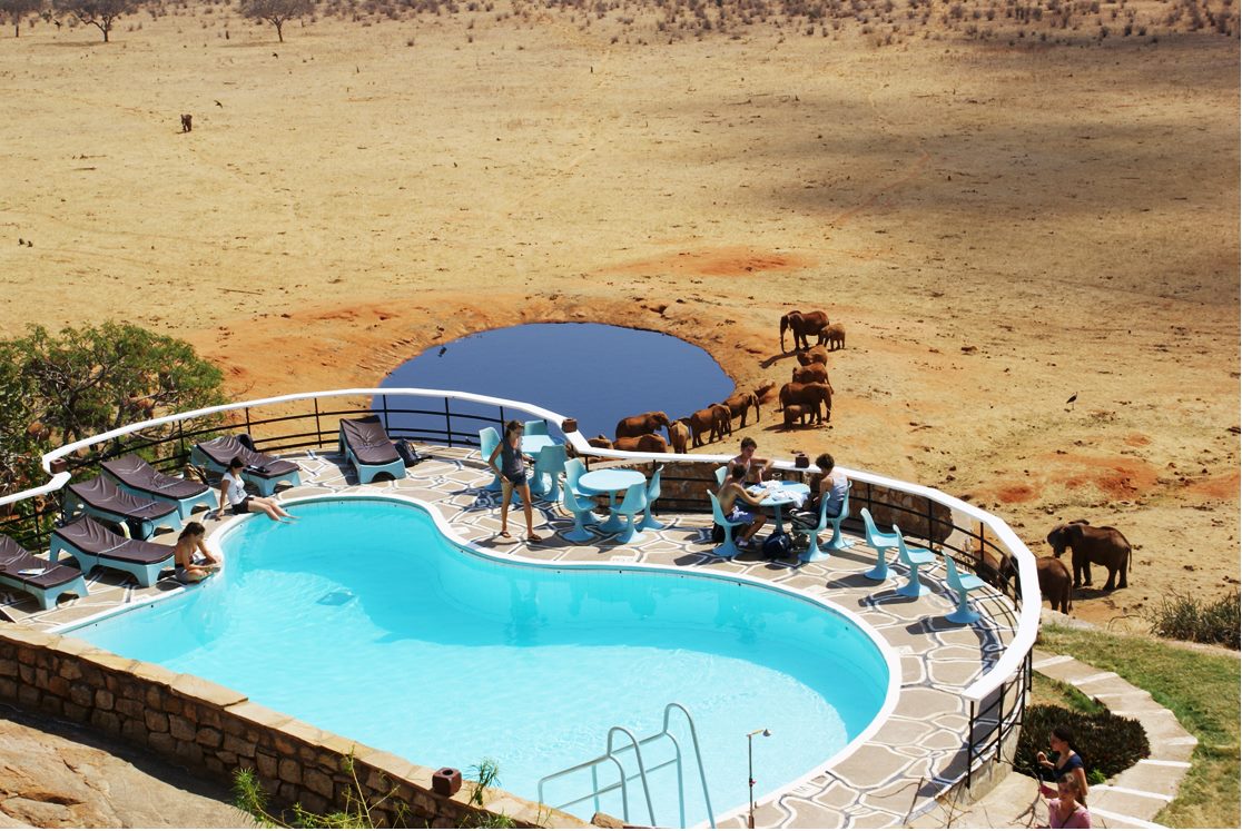 Voi Safari Lodge