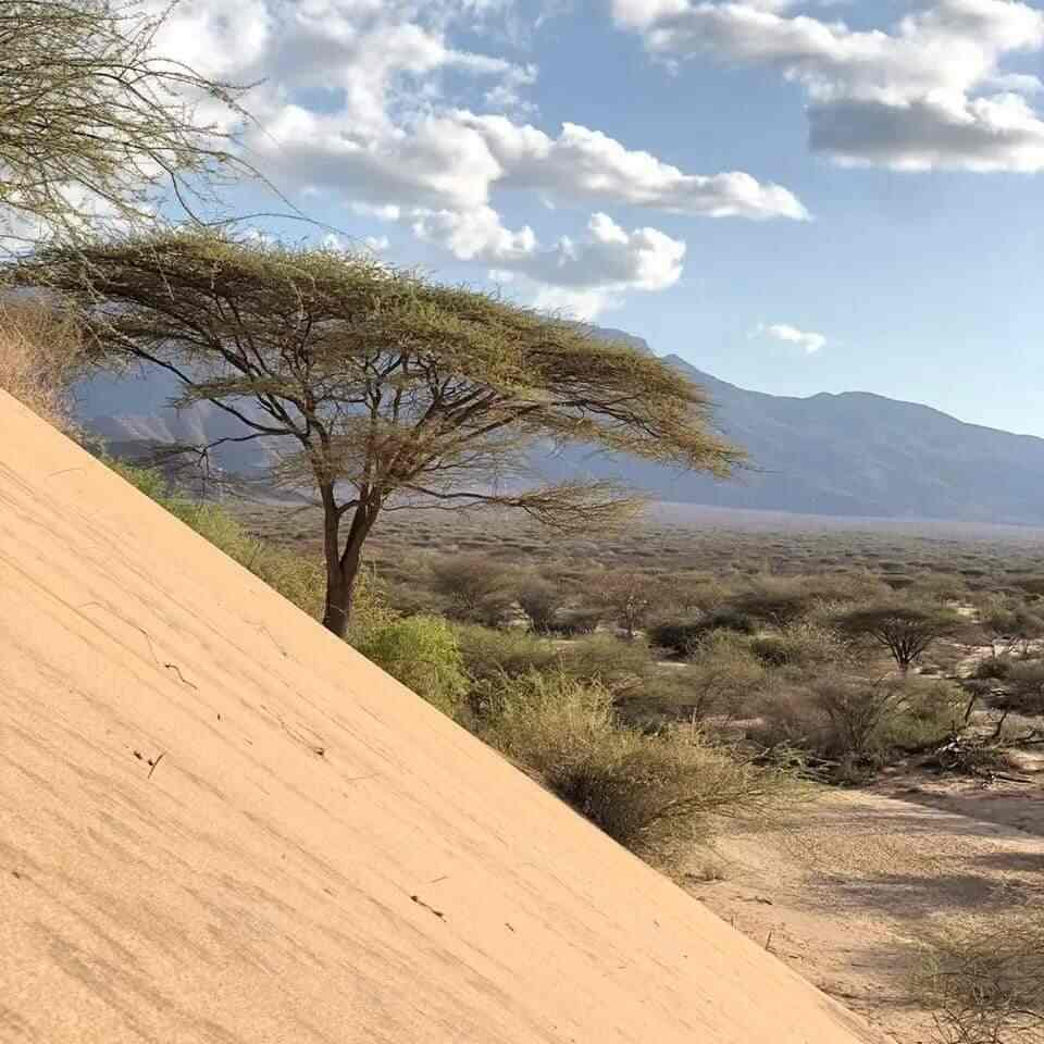 Desert views