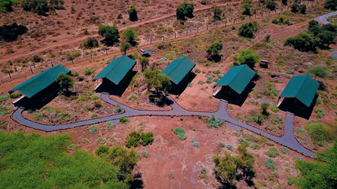 KIBO SAFARI CAMP